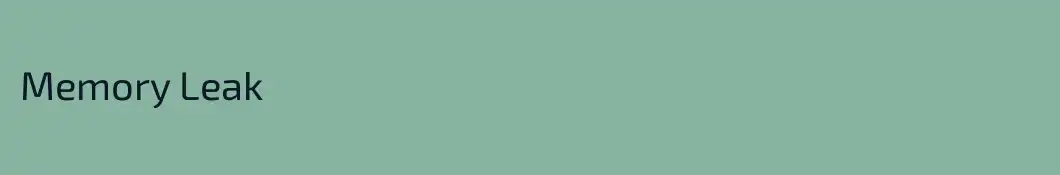 Memory Leak